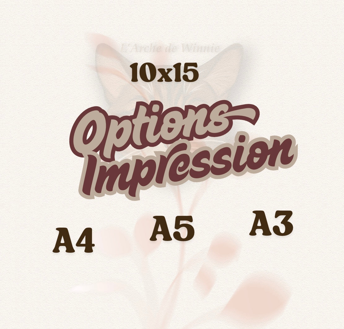 Option : impression dessins