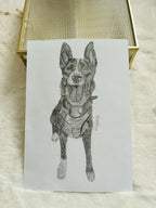 Dessin myrr