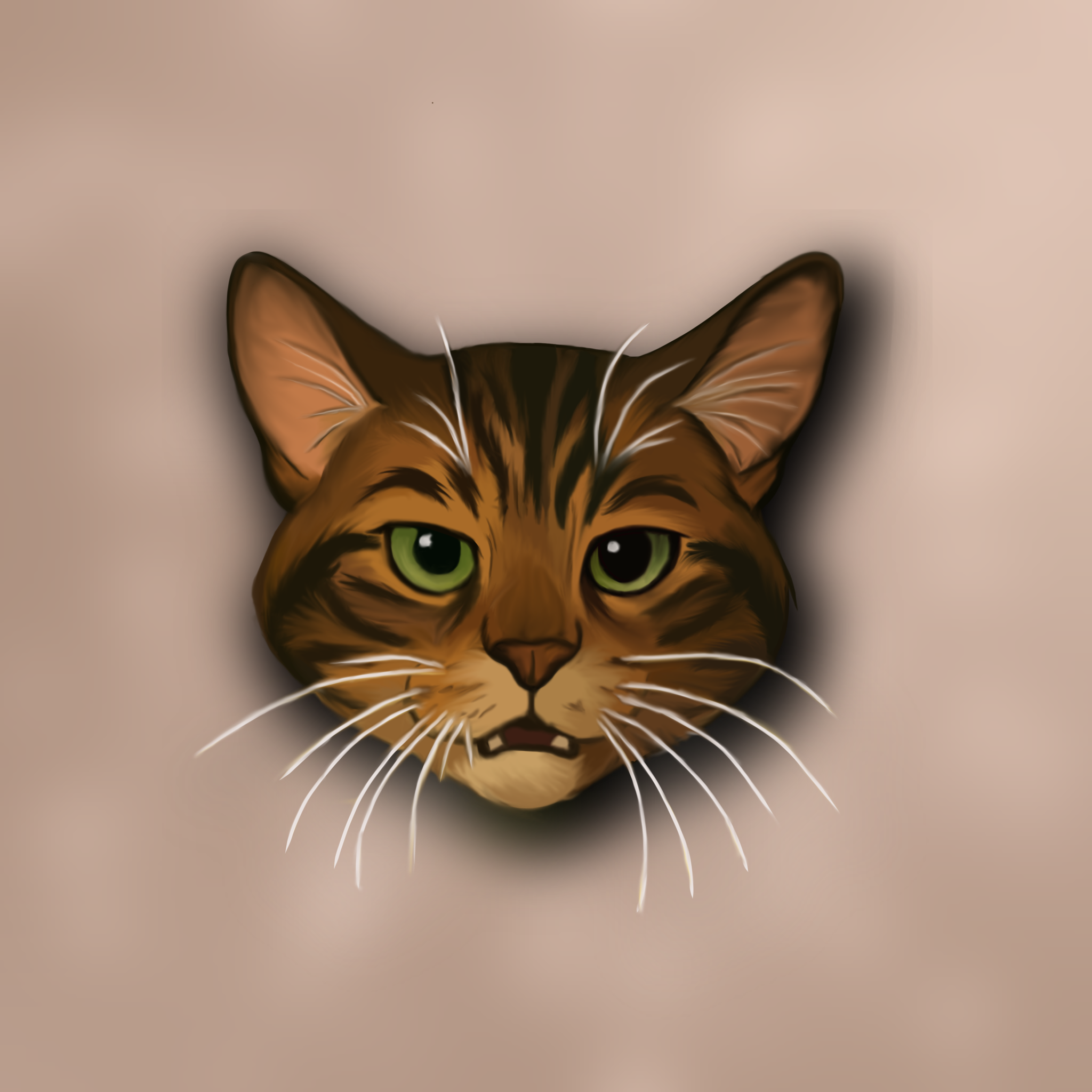 Dessin Nouskya