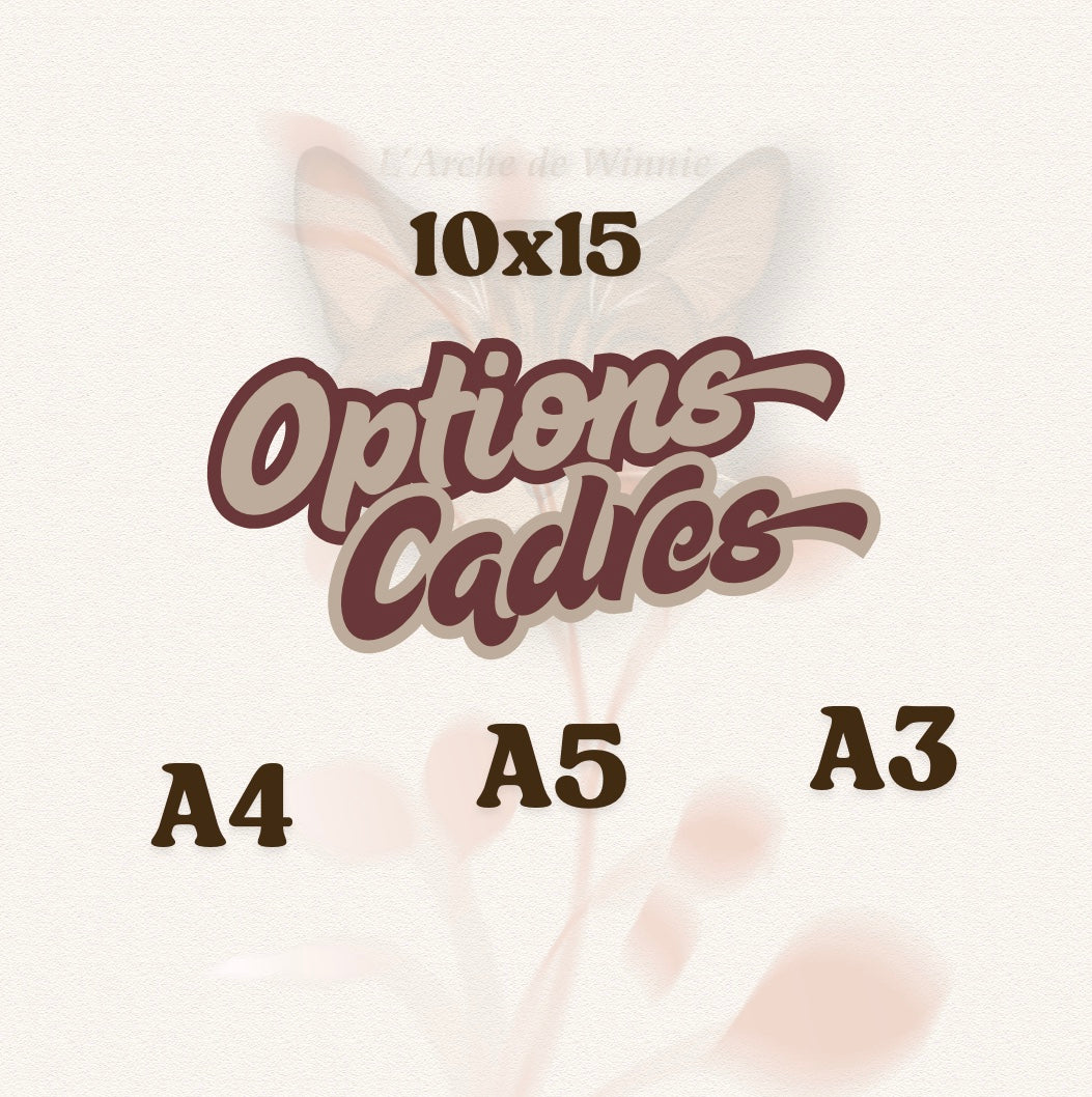 Option : cadre
